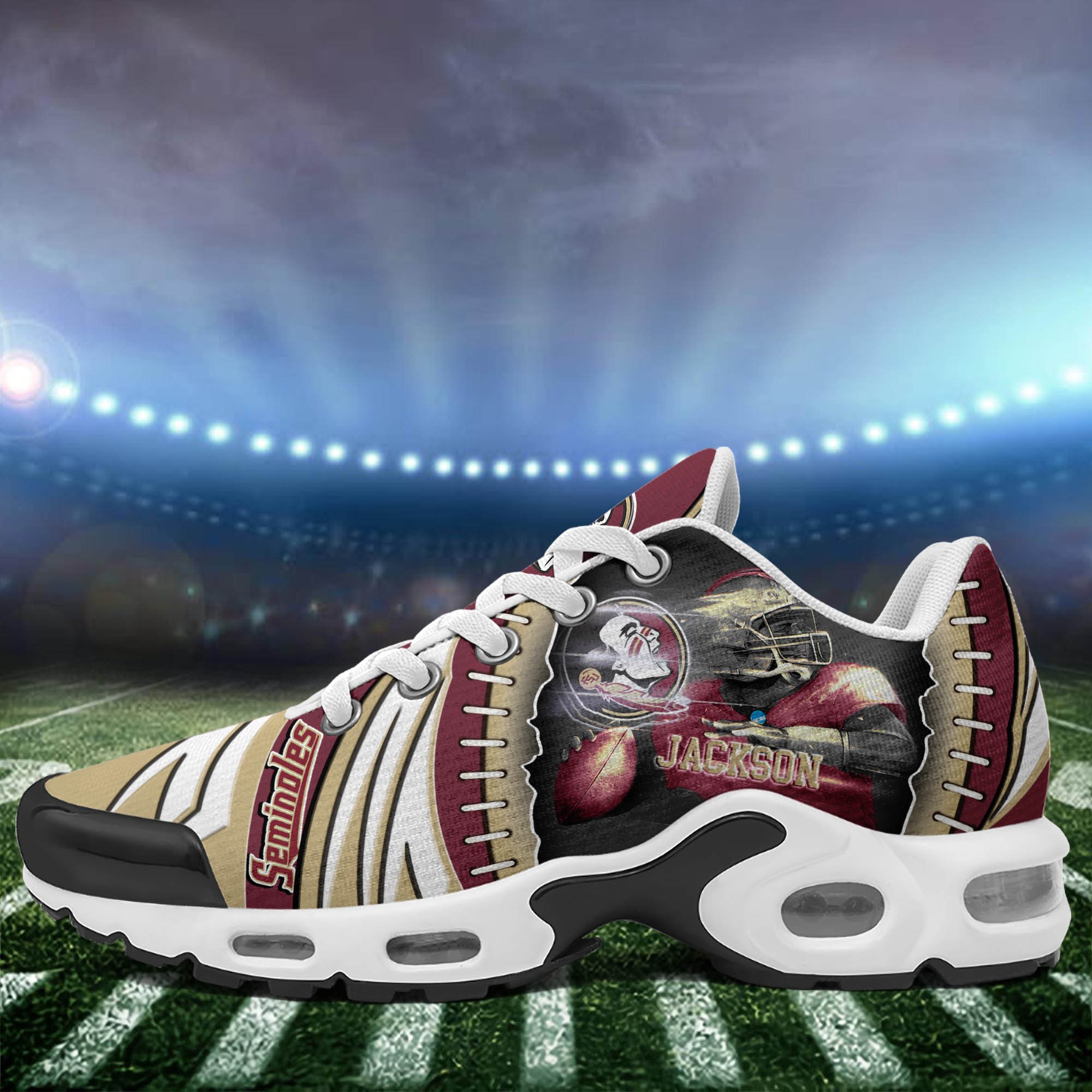 Florida State Seminoles TN Shoes 2025 Version Custom Your Name 919