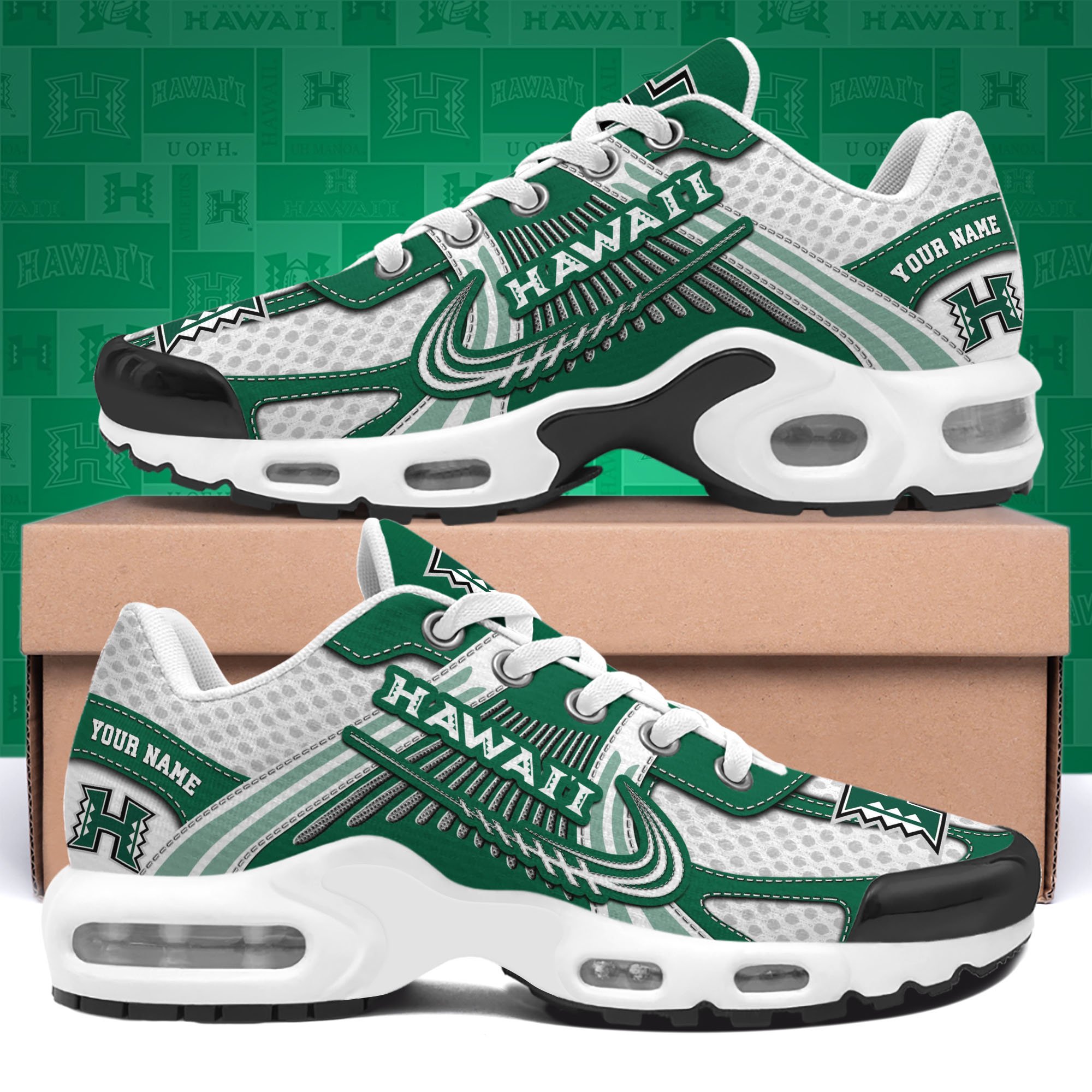 Hawaii Rainbow Warriors TN Shoes Custom Your Name, Sport Shoes 